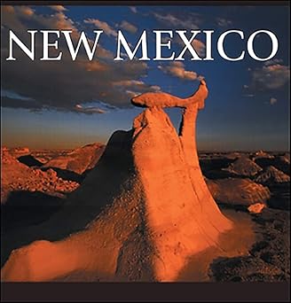new mexico 1st edition tanya lloyd kyi 1551108631, 978-1551108636