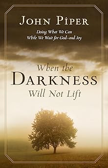 when the darkness will not lift doing what we can while we wait for god and joy 1st edition john piper