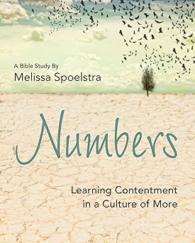 numbers womens bible study participant workbook learning contentment in a culture of more 1st edition melissa