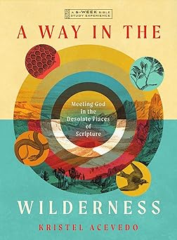 a way in the wilderness meeting god in the desolate places of scripture a 6 week bible study with video