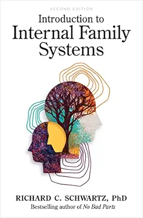 introduction to internal family systems 1st edition richard schwartz 1683643615, 978-1683643616