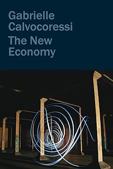 the new economy 1st edition gabrielle calvocoressi 1556597215, 978-1556597213