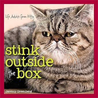 stink outside the box life advice from kitty 1st edition jeremy greenberg 1449456596, 978-1449456597