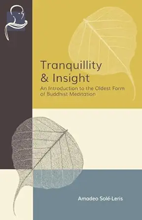 tranquillity and insight an introduction to the oldest form of buddhist meditation 1st edition amadeo sola c