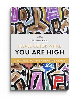 mood enhancing adult coloring book please color while you are high vol 1 1st edition pilgrim soul 057837658x,