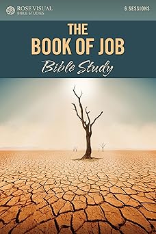 the book of job bible study 1st edition rose publishing 1496490363, 978-1496490360