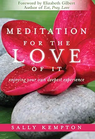 meditation for the love of it enjoying your own deepest experience 1st edition sally kempton ,elizabeth