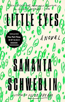 little eyes a novel 1st edition samanta schweblin ,megan mcdowell 0525541373, 978-0525541370