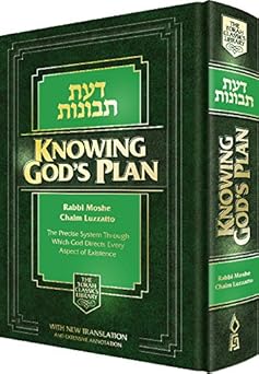 knowing g ds plan the precise system through which g d directs every aspect of existence 1st edition rabbi