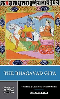 the bhagavad gita a norton 1st edition gavin flood ,charles martin 0393912922, 978-0393912920