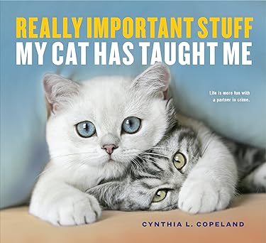 really important stuff my cat has taught me 1st edition cynthia l copeland 1523501480, 978-1523501489