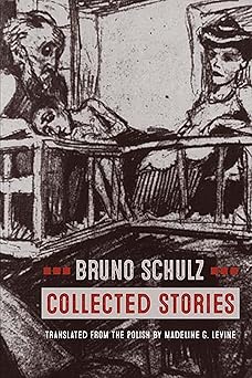 collected stories 1st edition bruno schulz ,madeline g levine ,rivka galchen 0810136600, 978-0810136601