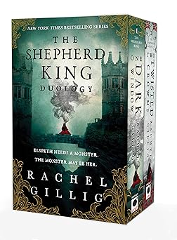 the shepherd king duology paperback boxed set 1st edition rachel gillig 0316597627, 978-0316597623