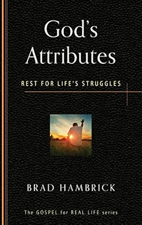 gods attributes rest for lifes struggles 1st edition brad c hambrick 1596384158, 978-1596384156