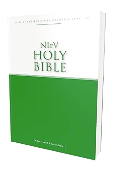 nirv economy bible paperback easy to read easy to share 1st edition zondervan 0310445906, 978-0310445906