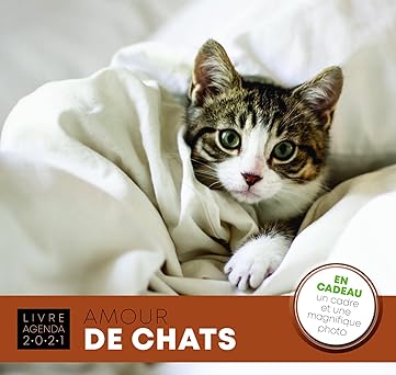 amour de chats 1st edition various 2380580510, 978-2380580518