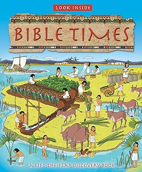 look inside bible times 1st edition lois rock ,anthony lewis 074597614x, 978-0745976143