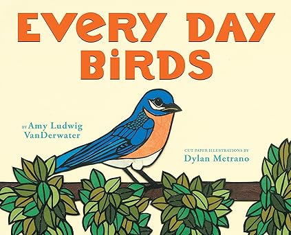 every day birds 1st edition amy ludwig vanderwater ,dylan metrano 0545699800, 978-0545699808