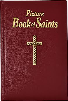 picture book of saints illustrated lives of the saints for young and old 1st edition reverend lawrence g
