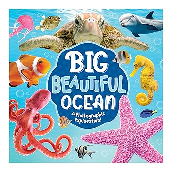big beautiful ocean a a photographic exploration a perfect for infants and toddlers ages 0 3 a nature and