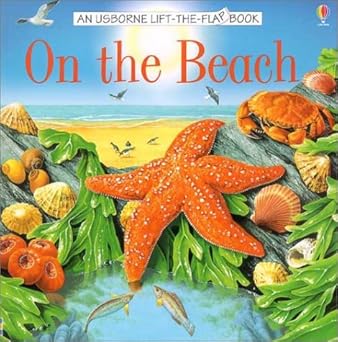 on the beach 1st edition alastair smith ,laura howell ,ian jackson 079450213x, 978-0794502133