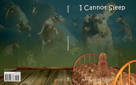 i cannot sleep 1st edition ann louise ramsey 0964566370, 978-0964566378
