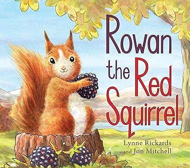 rowan the red squirrel 1st edition lynne rickards ,jon mitchell 178250477x, 978-1782504771