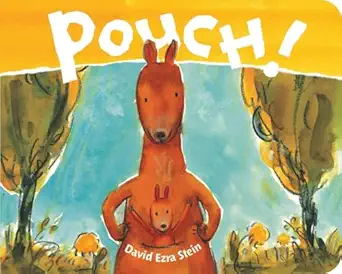 pouch 1st edition david ezra stein 0399257381, 978-0399257384