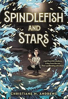 spindlefish and stars 1st edition christiane m andrews 0316496030, 978-0316496032