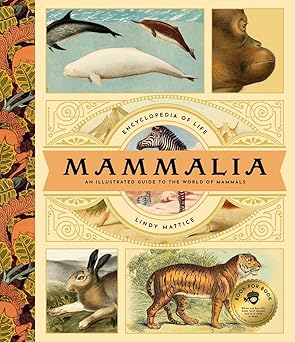 mammalia an illustrated guide to the world of mammals 1st edition lindy mattice 163819128x, 978-1638191285