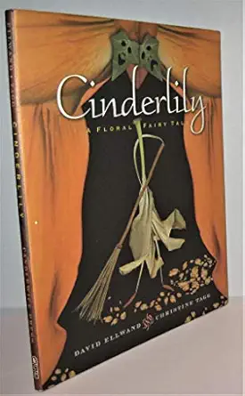 cinderlily a floral fairy tale 1st edition david ellwand ,christine tagg 0763623288, 978-0763623289