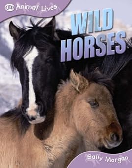 wild horses 1st edition sally morgan 1845389115, 978-1845389116