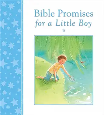 bible promises for a little boy 1st edition mary joslin ,ruchi mhasane 0745964044, 978-0745964041