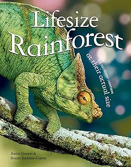 lifesize rainforest see rainforest creatures at their actual size 1st edition anita ganeri ,stuart jackson