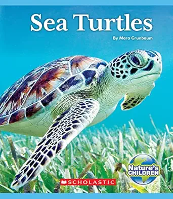 sea turtles 1st edition mara grunbaum 0531234800, 978-0531234808