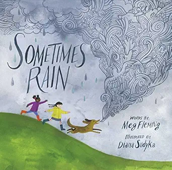 sometimes rain 1st edition meg fleming ,diana sudyka 148145918x, 978-1481459181
