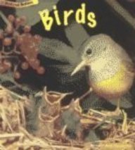 birds 1st edition rod theodorou 157572541x, 978-1575725413