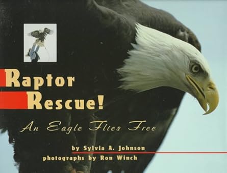 raptor rescue an eagle flies free 1st edition sylvia johnson 0525453016, 978-0525453017