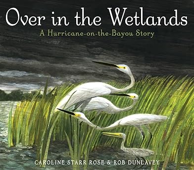 over in the wetlands a hurricane on the bayou story 1st edition caroline starr rose ,rob dunlavey 044981016x,