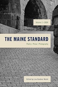 the maine standard vol 1 poetry prose photography 1st edition liza gardner walsh 1684751144, 978-1684751143