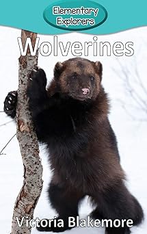 wolverines 1st edition victoria blakemore 1948388391, 978-1948388399