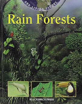 our living planet rain forests 1st edition marta serrano 1567116701, 978-1567116700