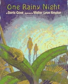 one rainy night 1st edition doris gove ,walter lyon krudop 0689318006, 978-0689318009