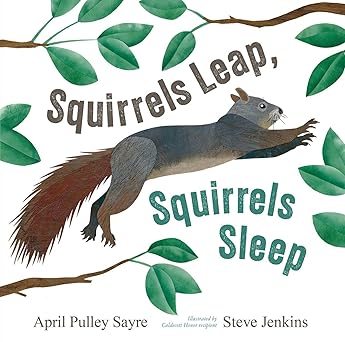 squirrels leap squirrels sleep 1st edition april pulley sayre ,steve jenkins 1665980516, 978-1665980517