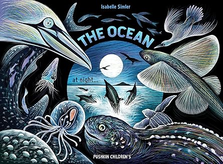 the ocean at night 1st edition isabelle simler 1782694889, 978-1782694885
