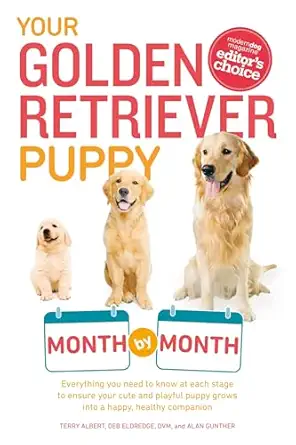 your golden retriever puppy month by month everything you need to know at each stage to ensure your cute and