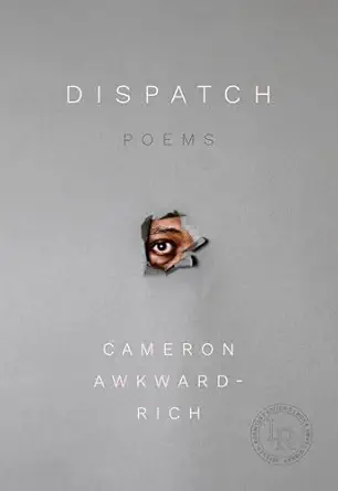 dispatch poems 1st edition cameron awkward rich 0892555033, 978-0892555031