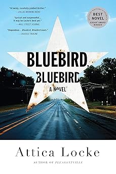 bluebird bluebird 1st edition attica locke 0316363278, 978-0316363273