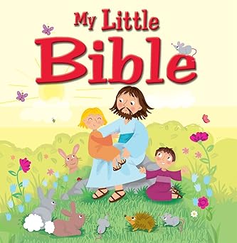 my little bible 1st edition karen williamson ,marilyn lashbrook ,stephanie mcfetridge britt ,amanda enright