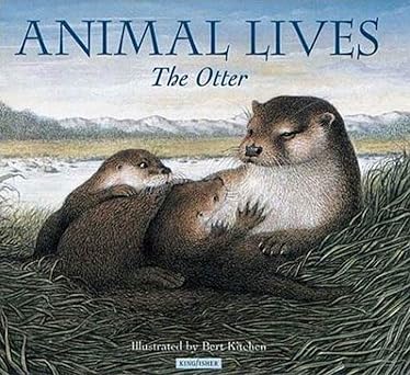 the otter 1st edition sally tagholm 075345176x, 978-0753451762